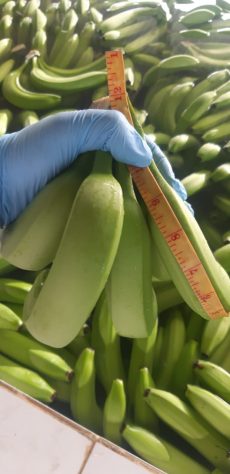 WhatsApp Image 2020-03-28 at 10.31.17 (3)