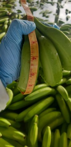 WhatsApp Image 2020-03-28 at 10.31.17 (5)