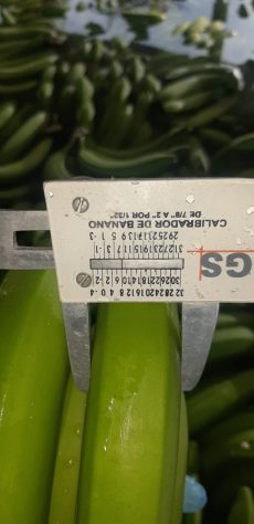 WhatsApp Image 2020-03-28 at 10.31.17 (6)